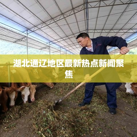 湖北通辽地区最新热点新闻聚焦