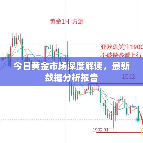 今日黄金市场深度解读,最新数据分析报告