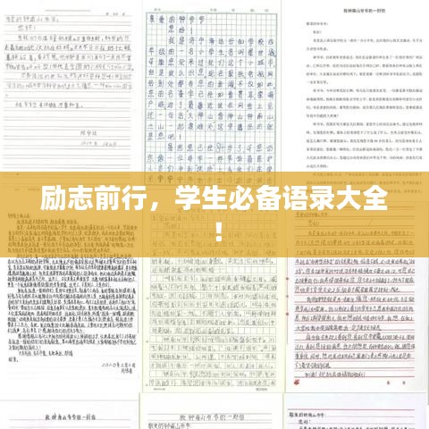 励志前行，学生必备语录大全！