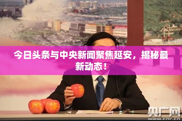 今日头条与中央新闻聚焦延安，揭秘最新动态！