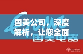 国美公司，深度解析，让您全面了解这家企业！