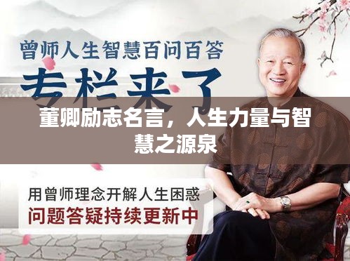 董卿励志名言，人生力量与智慧之源泉