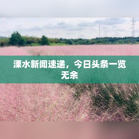 溧水新闻速递,今日头条一览无余