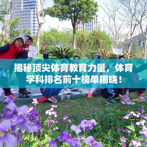 揭秘顶尖体育教育力量,体育学科排名前十榜单揭晓!