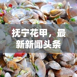抚宁花甲,最新新闻头条报道