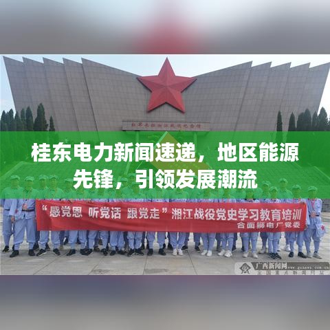 桂东电力新闻速递,地区能源先锋,引领发展潮流