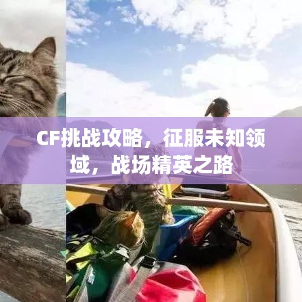 CF挑战攻略,征服未知领域,战场精英之路