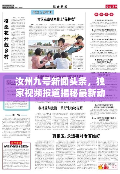汝州九号新闻头条,独家视频报道揭秘最新动态