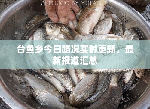 台鱼乡今日路况实时更新,最新报道汇总