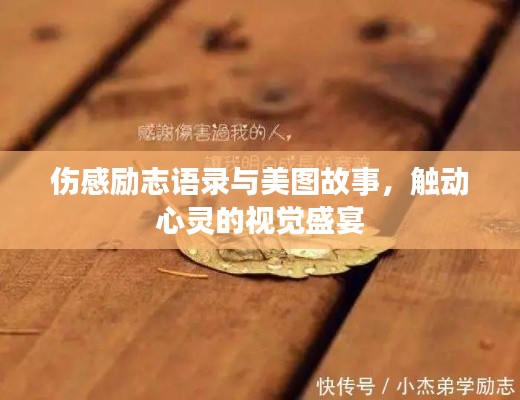 伤感励志语录与美图故事,触动心灵的视觉盛宴