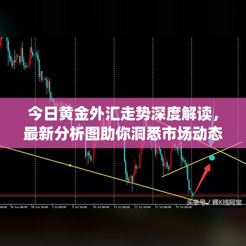 今日黄金外汇走势深度解读,最新分析图助你洞悉市场动态