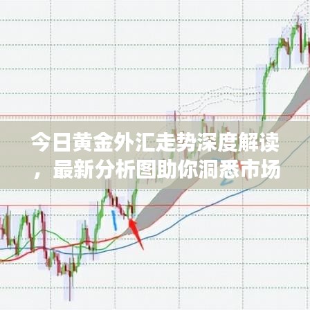今日黄金外汇走势深度解读,最新分析图助你洞悉市场动态