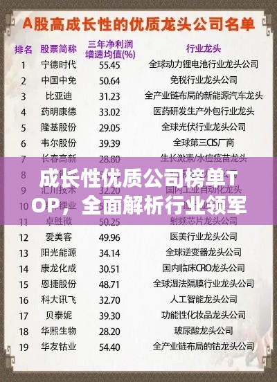 成长性优质公司榜单TOP,全面解析行业领军者排名