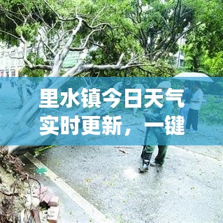 里水镇今日天气实时更新,一键查询掌握最新气象信息!
