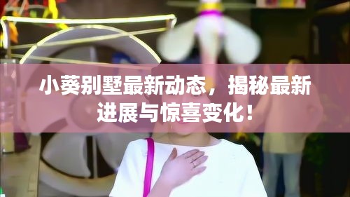 小葵别墅最新动态，揭秘最新进展与惊喜变化！