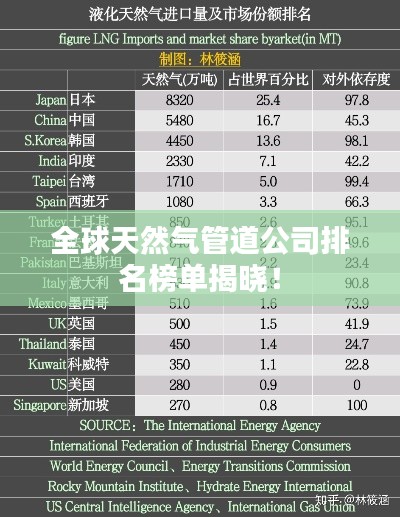 全球天然气管道公司排名榜单揭晓！