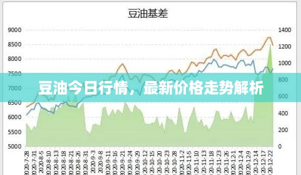豆油今日行情,最新价格走势解析