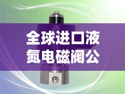 全球进口液氮电磁阀公司排名大揭秘！