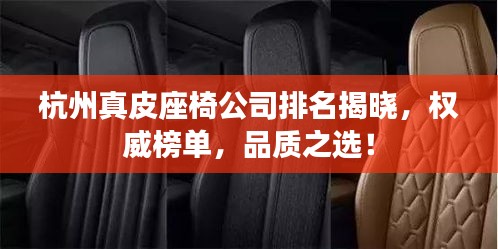 杭州真皮座椅公司排名揭晓，权威榜单，品质之选！
