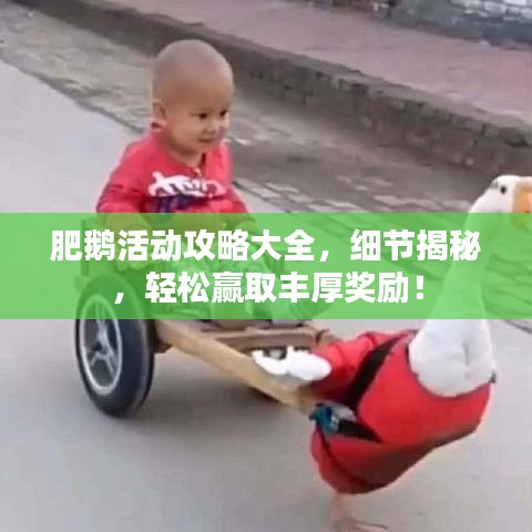 肥鹅活动攻略大全,细节揭秘,轻松赢取丰厚奖励!