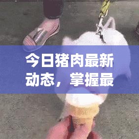 今日猪肉最新动态,掌握最新市场信息