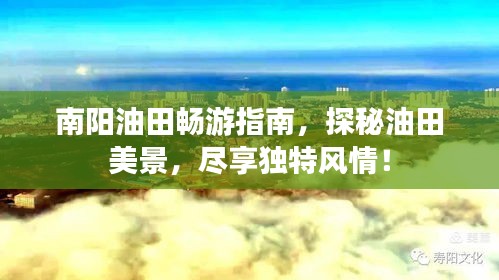 2025年6月 第120页