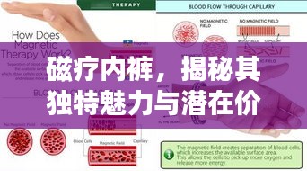 磁疗内裤，揭秘其独特魅力与潜在价值探索