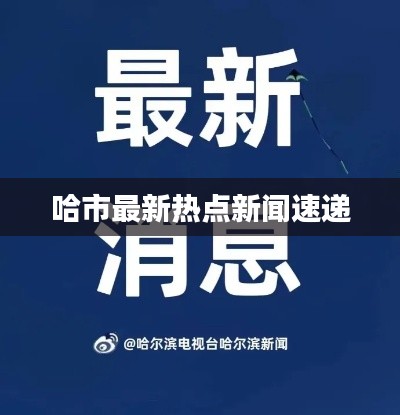 哈市最新热点新闻速递