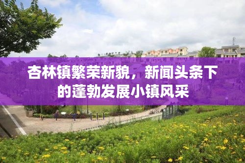 杏林镇繁荣新貌，新闻头条下的蓬勃发展小镇风采