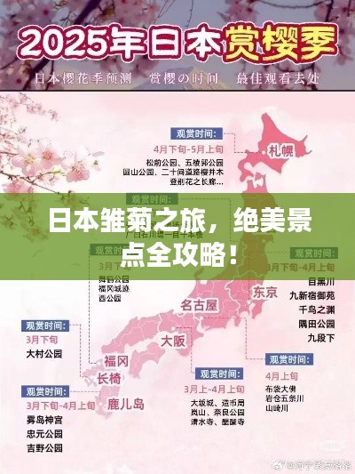 日本雏菊之旅，绝美景点全攻略！