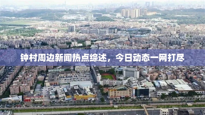 钟村周边新闻热点综述，今日动态一网打尽