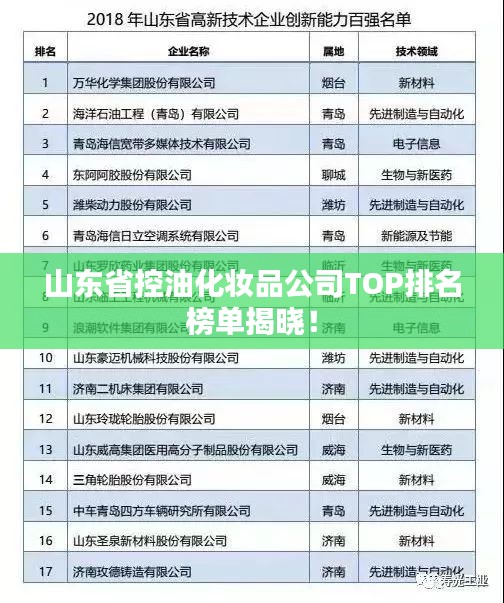 山东省控油化妆品公司TOP排名榜单揭晓！