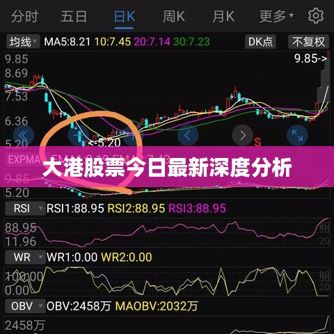 大港股票今日最新深度分析