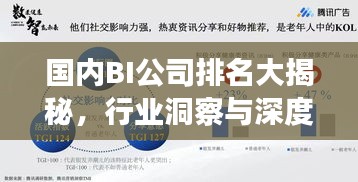 国内BI公司排名大揭秘,行业洞察与深度分析