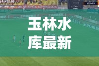 玉林水库最新动态，今日头条新闻报道热议中