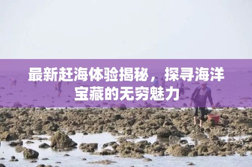 最新赶海体验揭秘，探寻海洋宝藏的无穷魅力