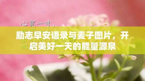 励志早安语录与麦子图片，开启美好一天的能量源泉