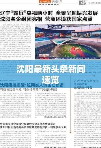 沈阳最新头条新闻速览
