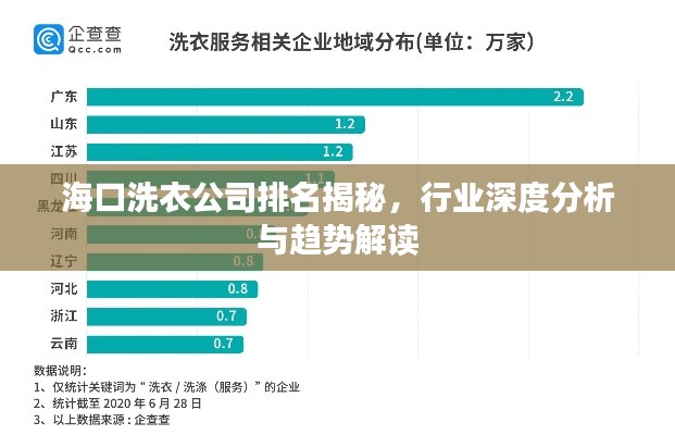 海口洗衣公司排名揭秘，行业深度分析与趋势解读