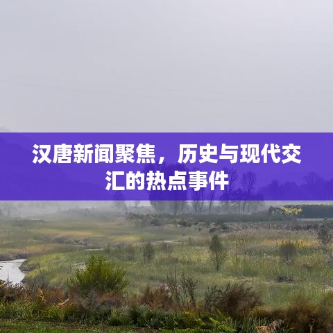 汉唐新闻聚焦,历史与现代交汇的热点事件