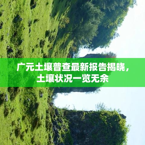 广元土壤普查最新报告揭晓,土壤状况一览无余