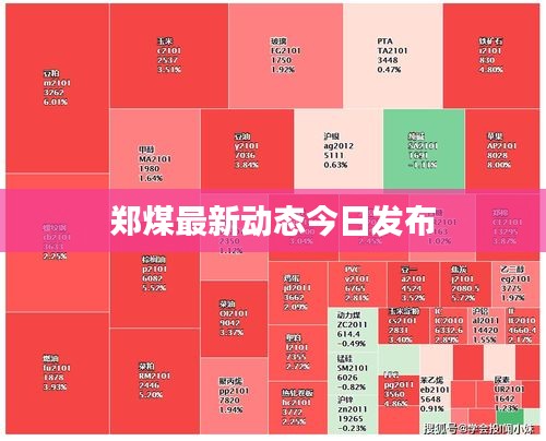郑煤最新动态今日发布