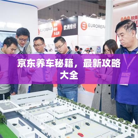 京东养车秘籍,最新攻略大全
