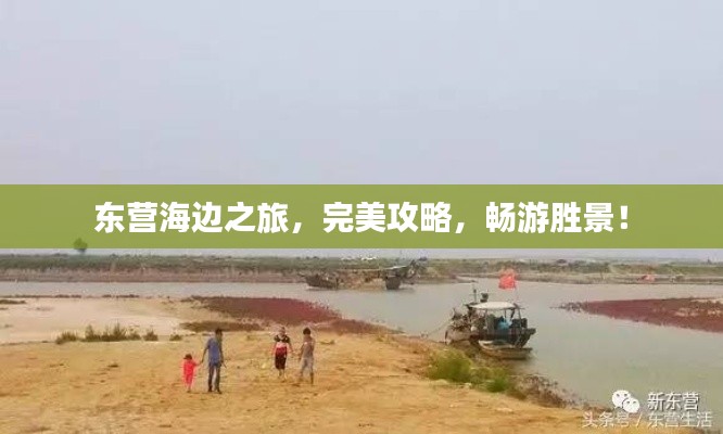 东营海边之旅,完美攻略,畅游胜景!