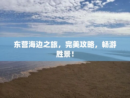 东营海边之旅,完美攻略,畅游胜景!