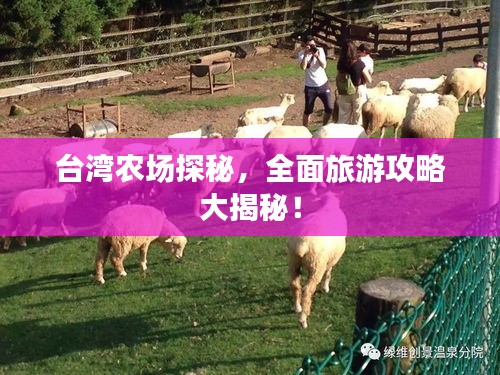 台湾农场探秘,全面旅游攻略大揭秘!
