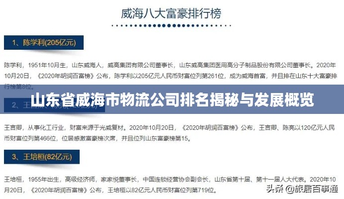 山东省威海市物流公司排名揭秘与发展概览