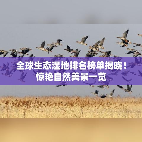 建站服务 第14页