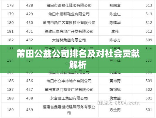 莆田公益公司排名及对社会贡献解析