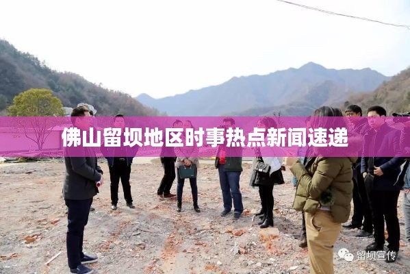 佛山留坝地区时事热点新闻速递